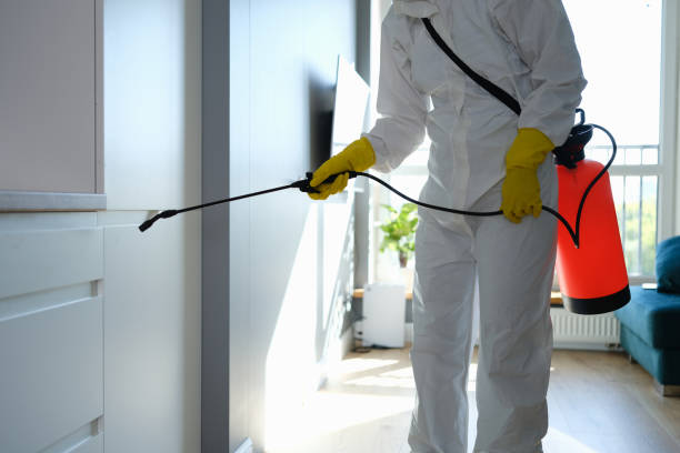 Best Emergency Mold Remediation in Boulder, CO